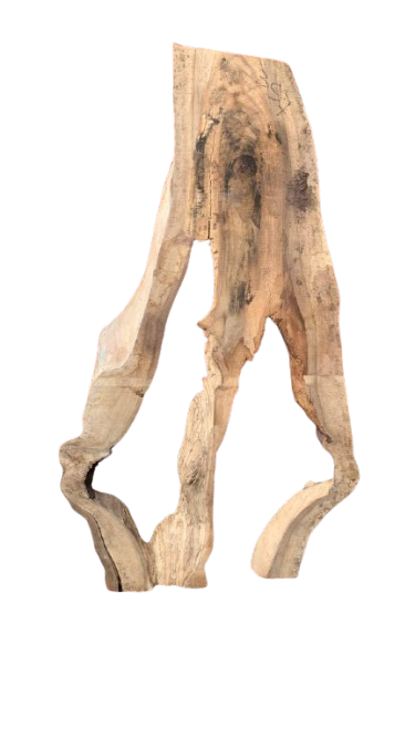 Product 7