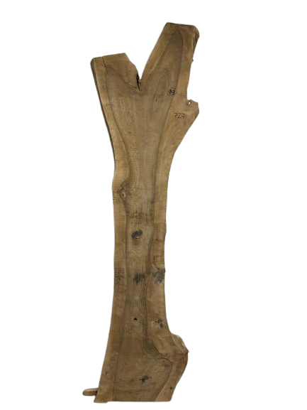 Product 7